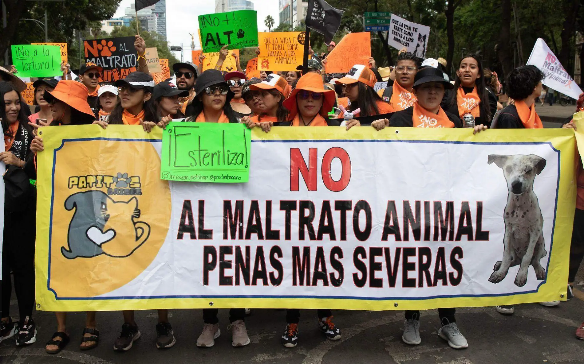 Marcha Defensa de los Animales